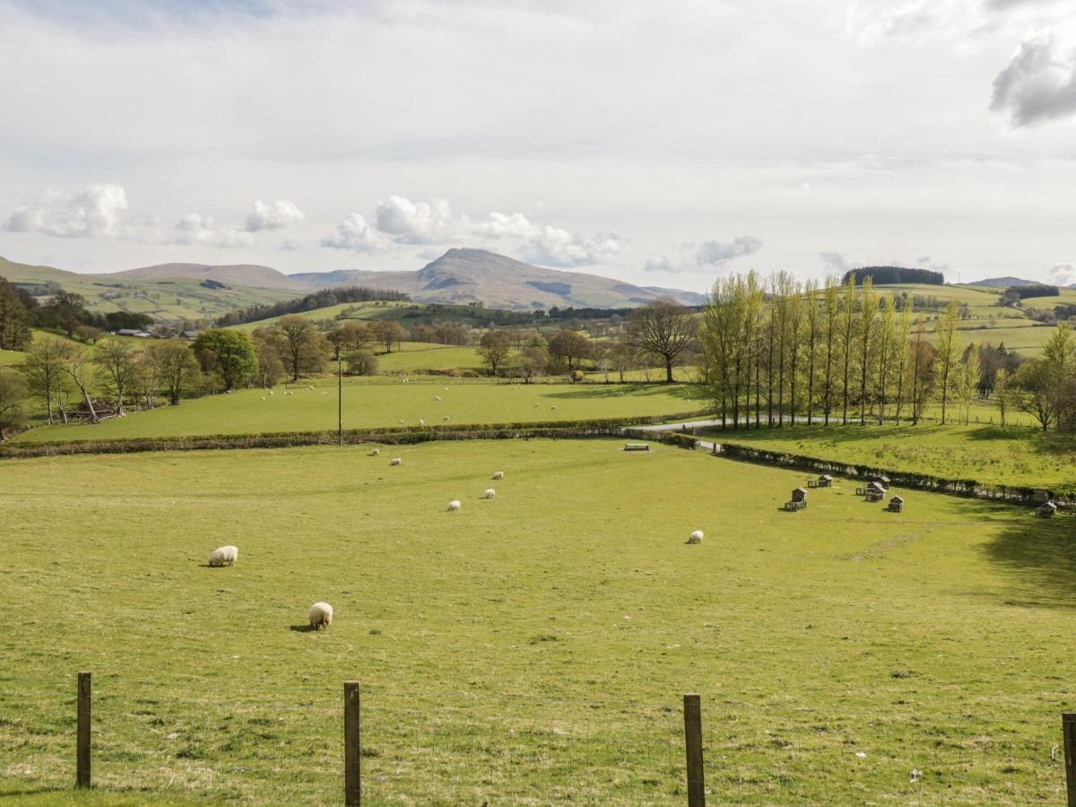 Cyffdy Cottage - Arenig بالا المظهر الخارجي الصورة
