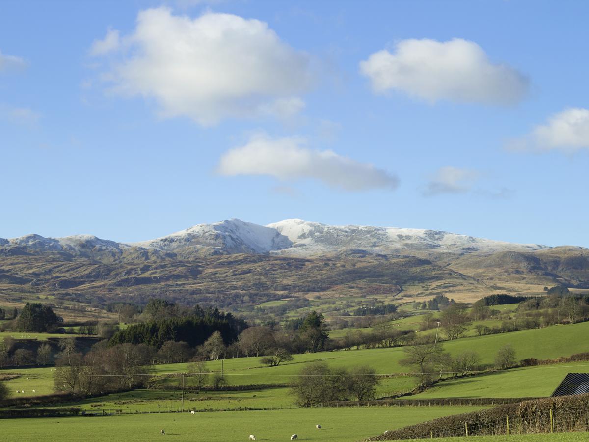 Cyffdy Cottage - Arenig بالا المظهر الخارجي الصورة